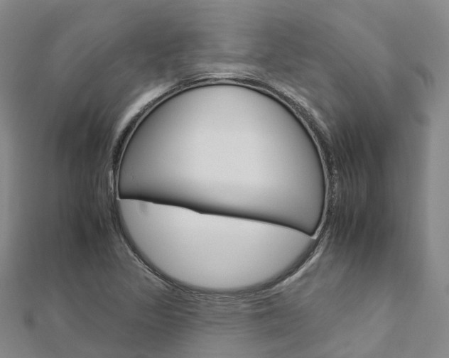 X0000112931317200908241045
