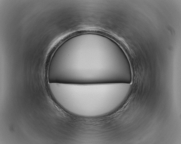 X0000112931319200908241045