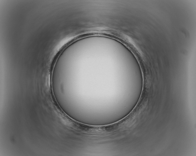 X0000112931320200908241045
