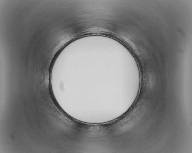 X0000112931322200908241045