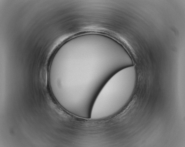 X0000112931323200908241045