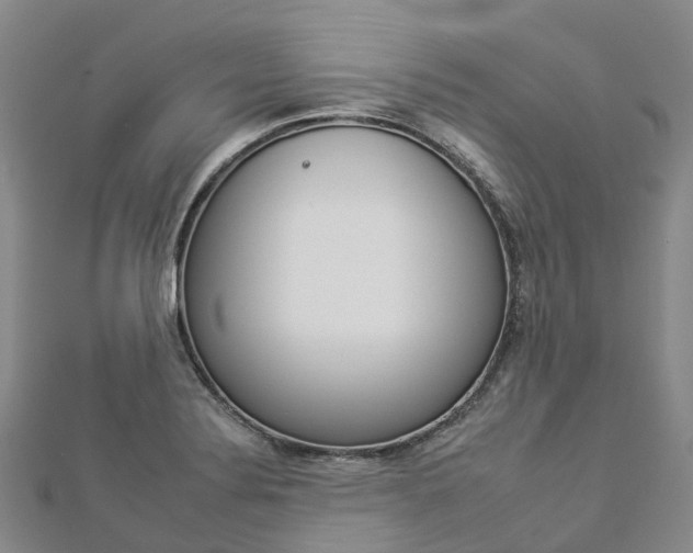 X0000112931324200908241045