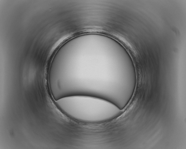 X0000112931325200908241045