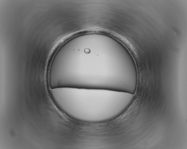 X0000112931327200908241045