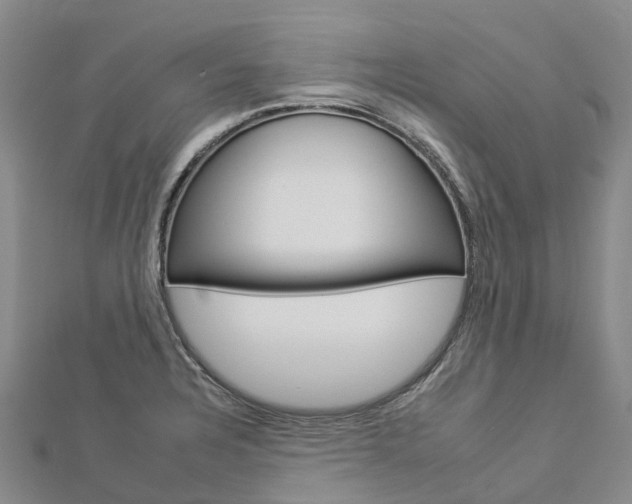 X0000112931328200908241045
