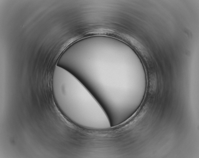 X0000112931329200908241045