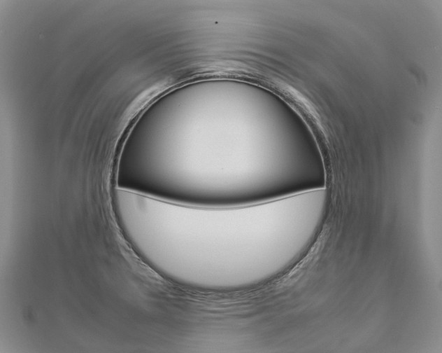X0000112931330200908241045