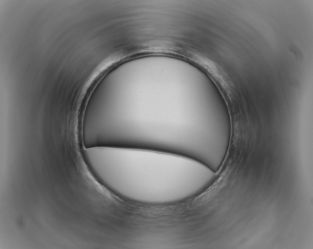X0000112931331200908241045