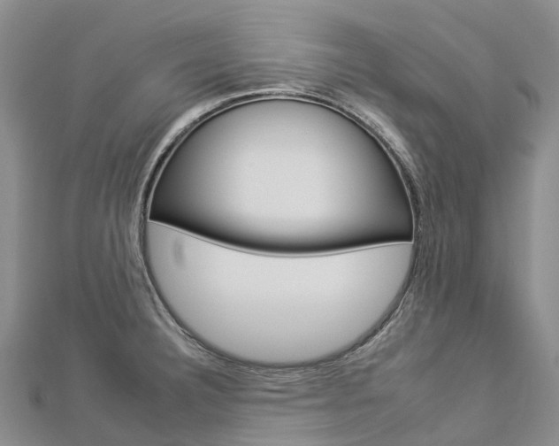 X0000112931332200908241045