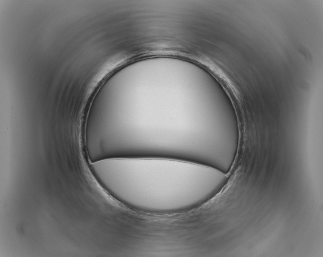 X0000112931333200908241045