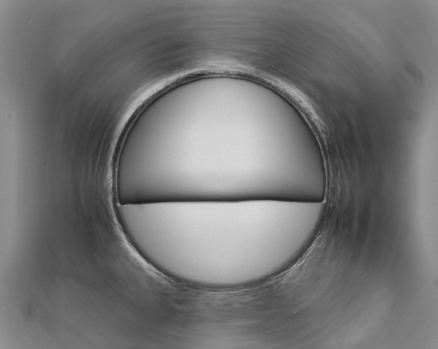 X0000112931335200908241045