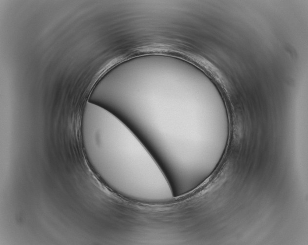 X0000112931337200908241045