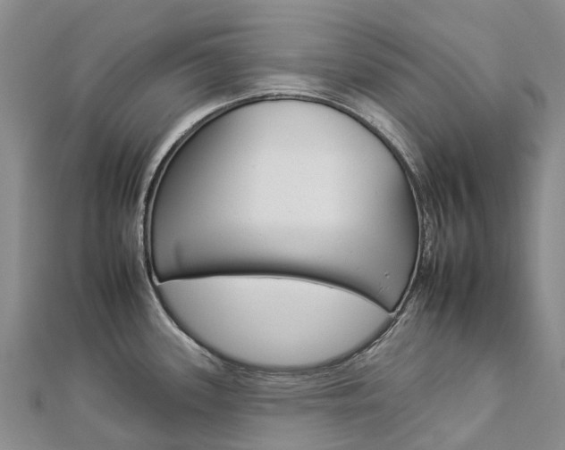 X0000112931339200908241045