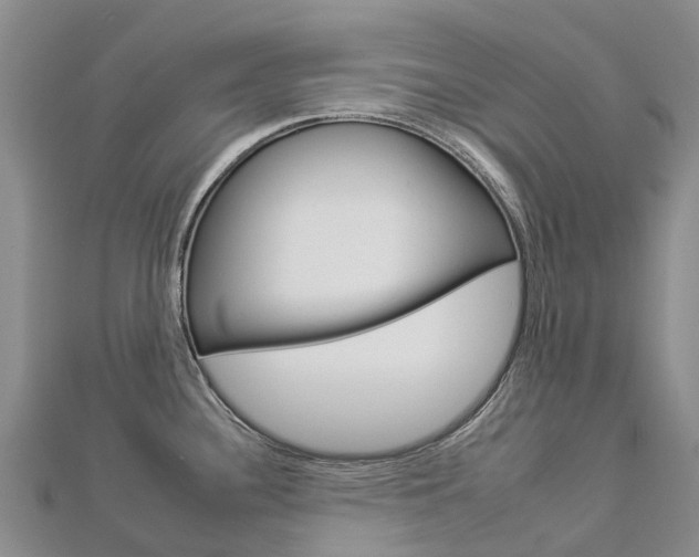 X0000112931340200908241045