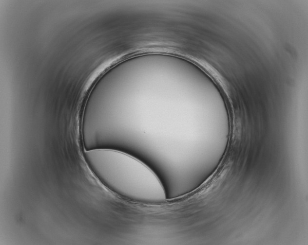 X0000112931341200908241045