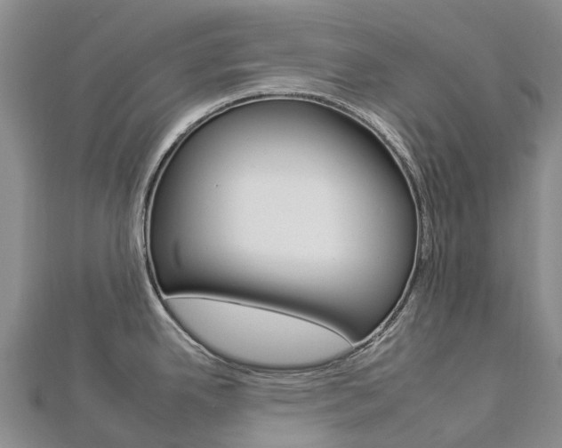 X0000112931342200908241045