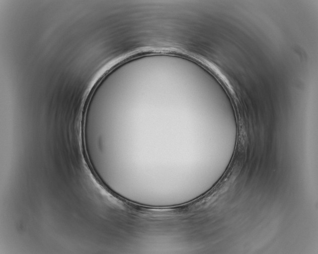 X0000112931343200908241045