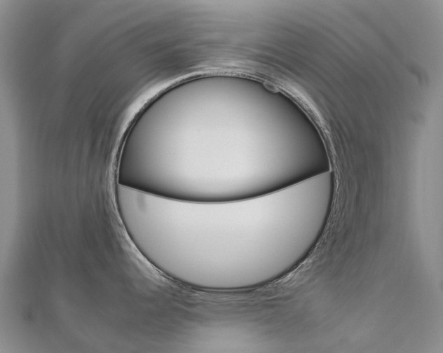 X0000112931344200908241045