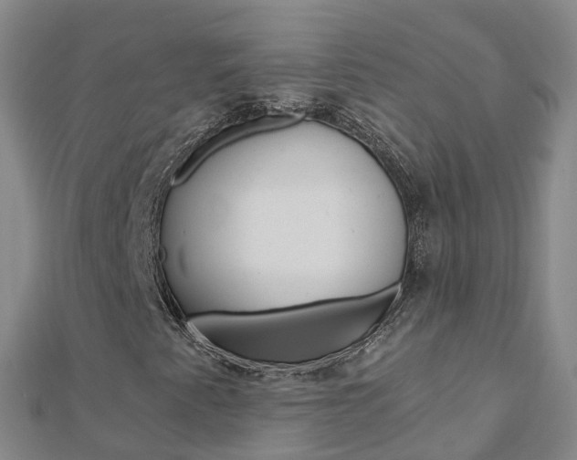 X0000112931345200908241045