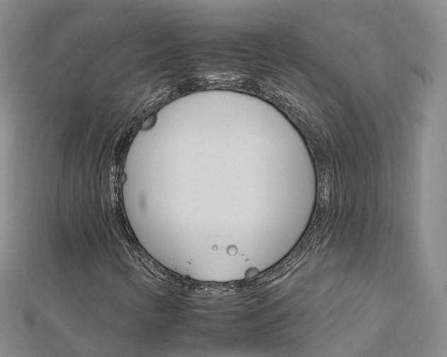 X0000112931346200908241044