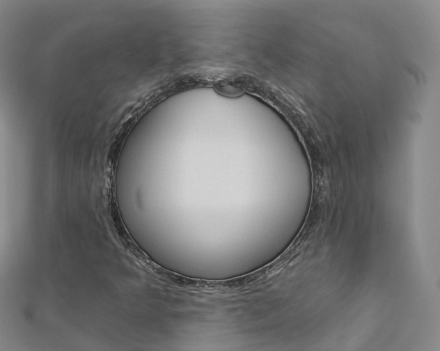 X0000112931349200908241044