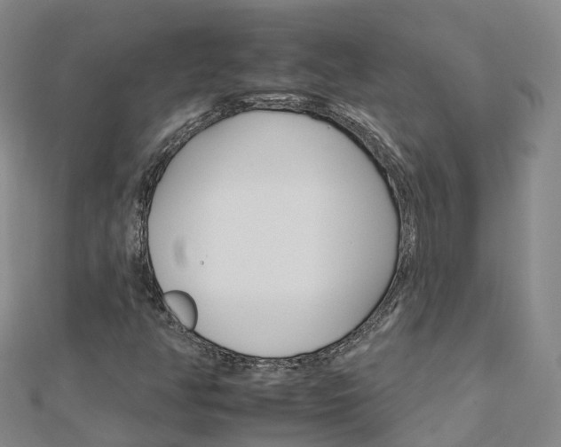X0000112931350200908241044