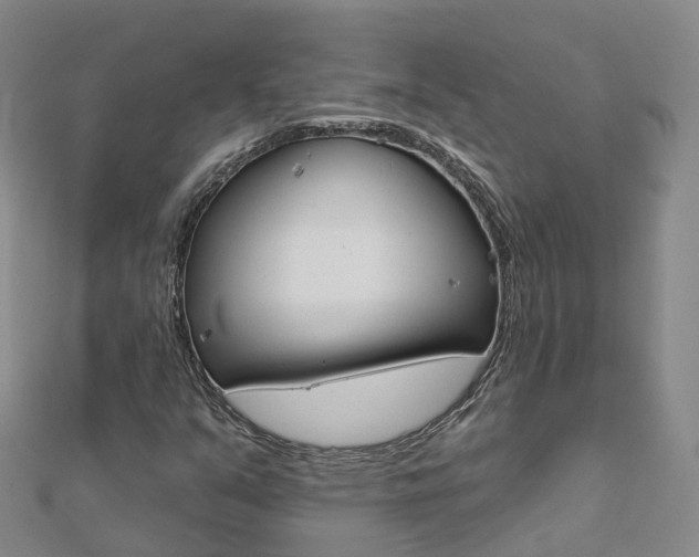 X0000112931351200908241044