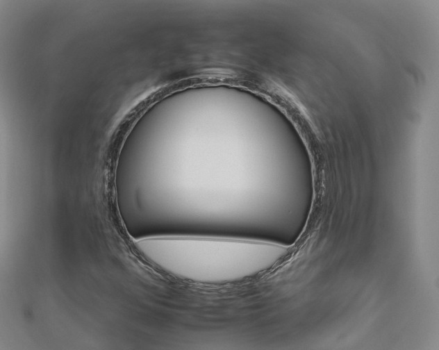 X0000112931352200908241044