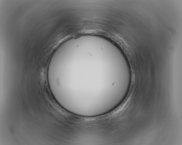 X0000112931353200908241044