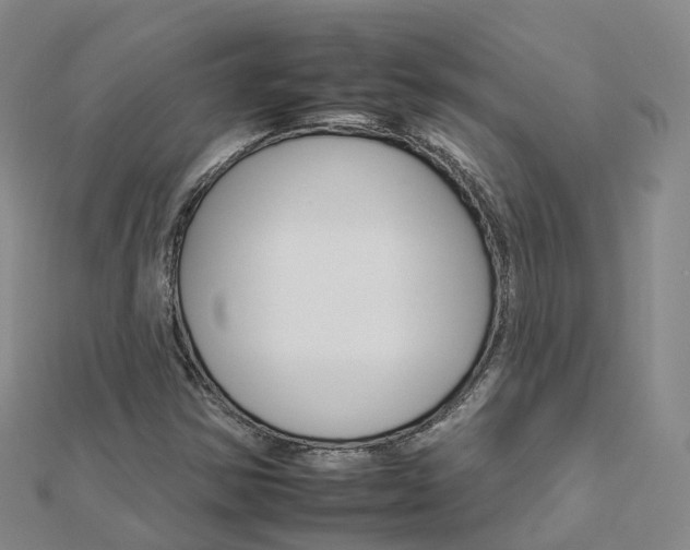 X0000112931354200908241044