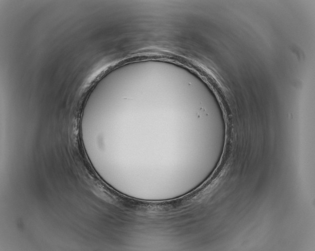 X0000112931355200908241044