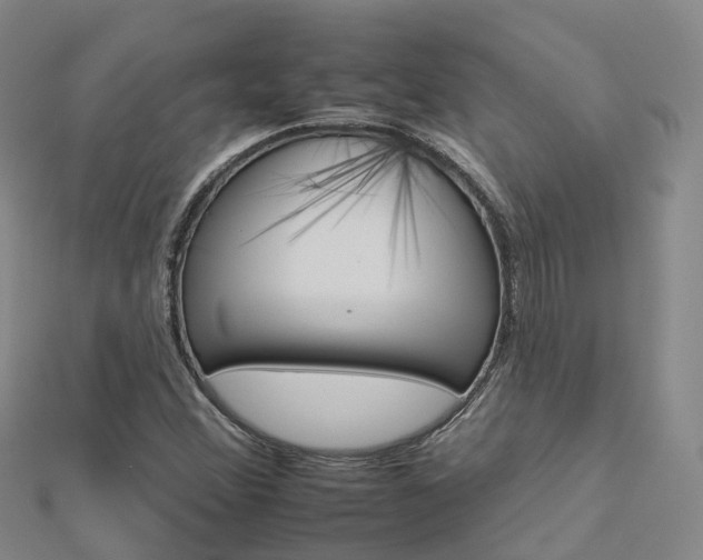 X0000112931356200908241044