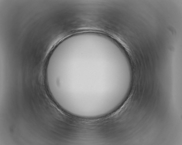 X0000112931357200908241044