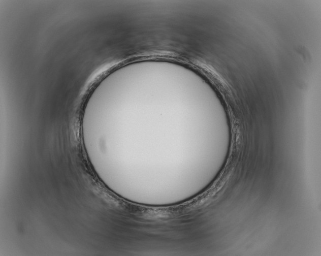 X0000112931358200908241044