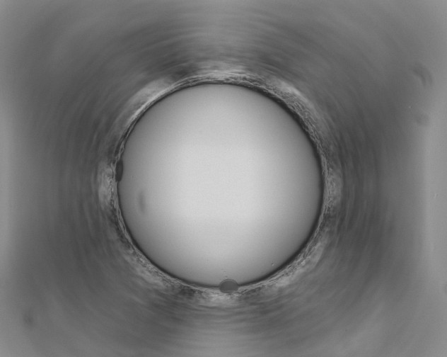 X0000112931361200908241044