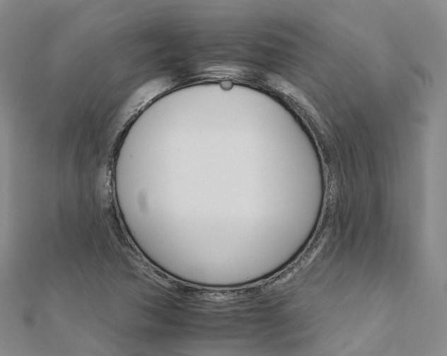 X0000112931362200908241044