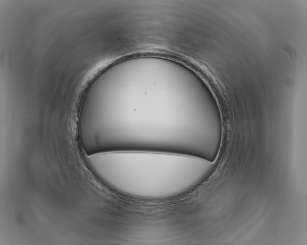 X0000112931363200908241044