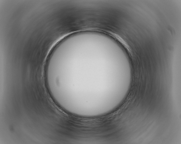 X0000112931364200908241044