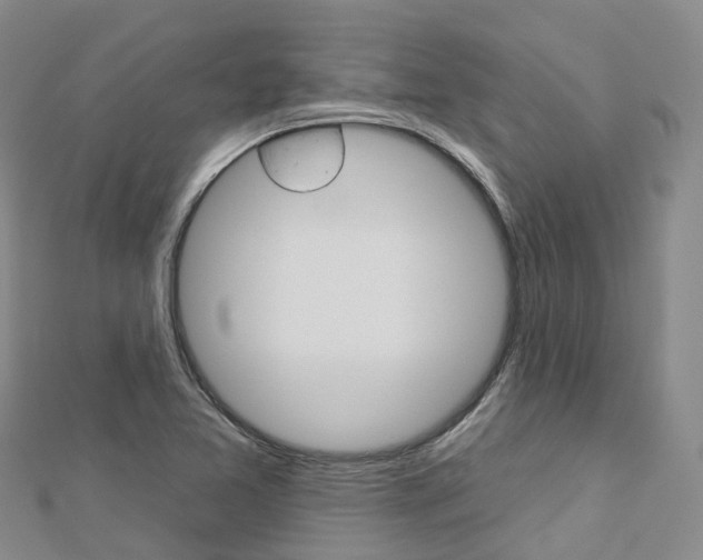 X0000112931365200908241044