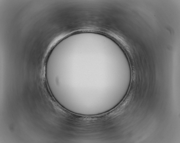 X0000112931366200908241044