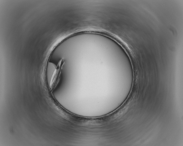 X0000112931367200908241044