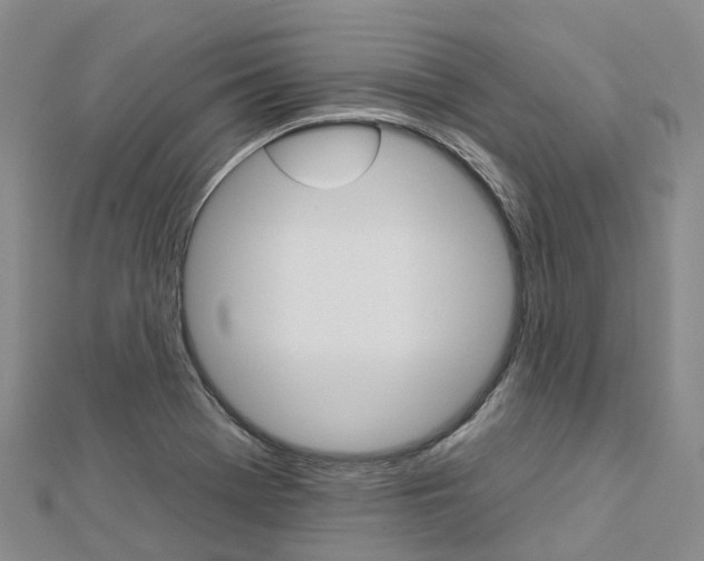 X0000112931369200908241044