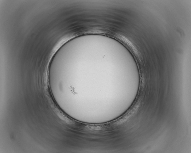 X0000112931370200908241044