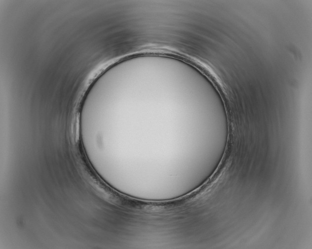X0000112931371200908241044