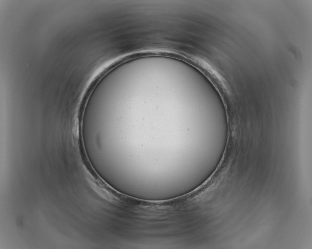 X0000112931372200908241044