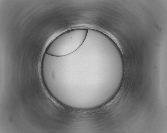 X0000112931373200908241044