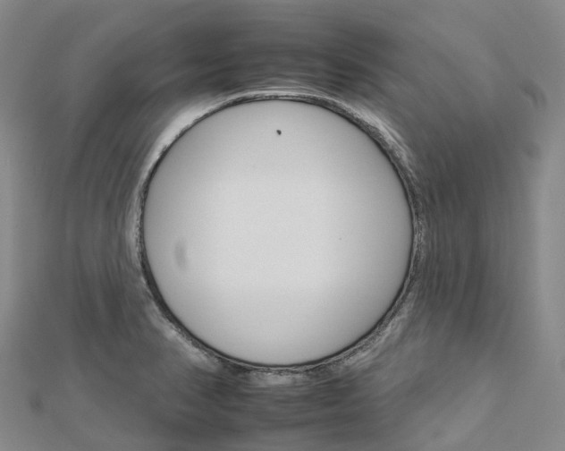 X0000112931374200908241044