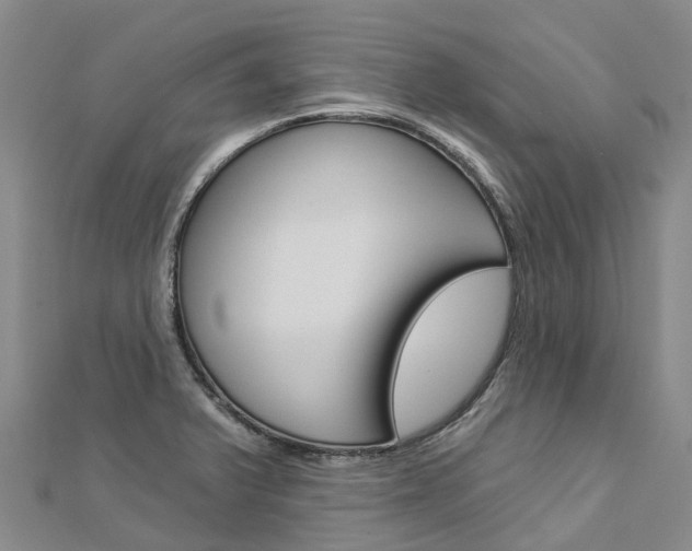 X0000112931375200908241044