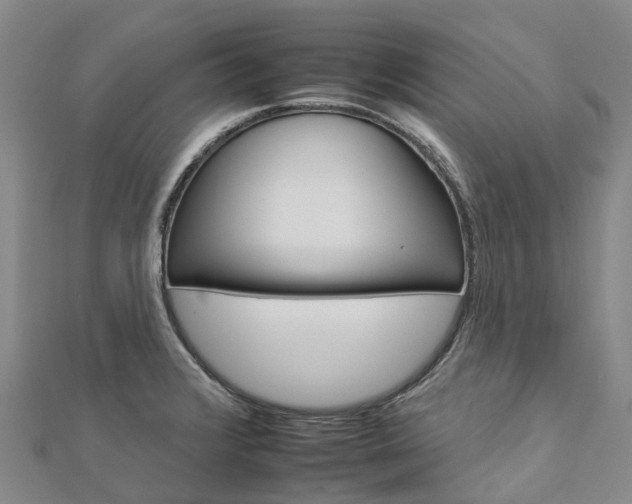 X0000112931376200908241044
