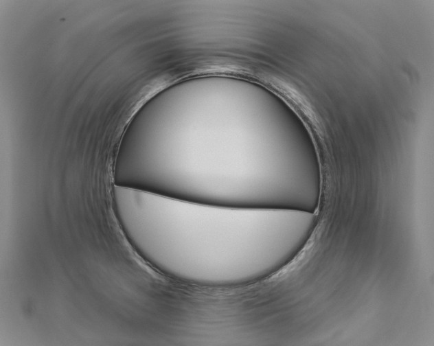 X0000112931377200908241044